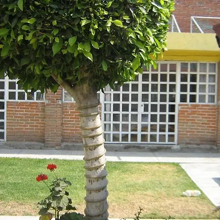 Hospedaje Bugambilias-2